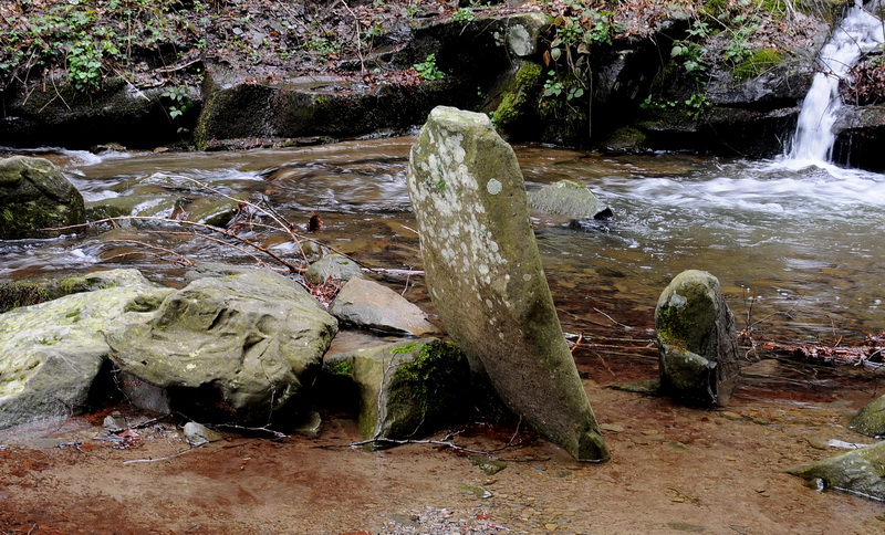 1000 anni di Vallombrosa